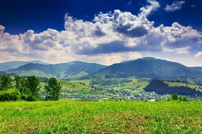 Meadow with Trees and Shrubs in Mountains