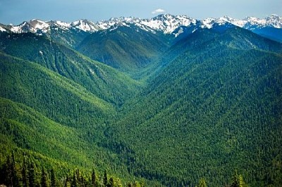 Parco nazionale di Olympic, Washington, USA