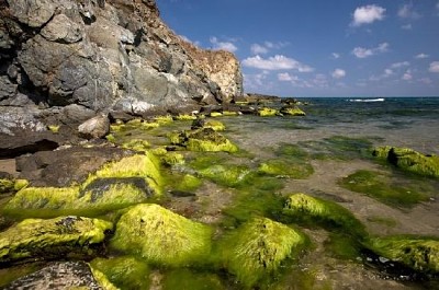 Orilla del Mar Negro