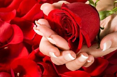 女人抱著一朵紅玫瑰