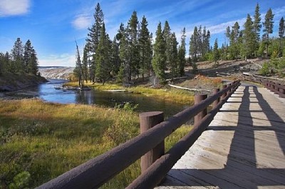 Bridge Through a Stream
