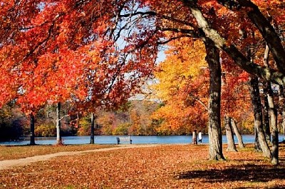 Promenade dans le parc