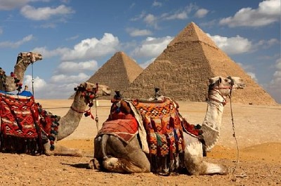 Pyramides et chameaux, Egypte