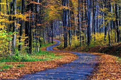 Autumn Landscape jigsaw puzzle