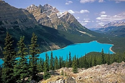 Point de vue du lac Peyto, Canada