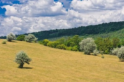 Rural Landscape jigsaw puzzle