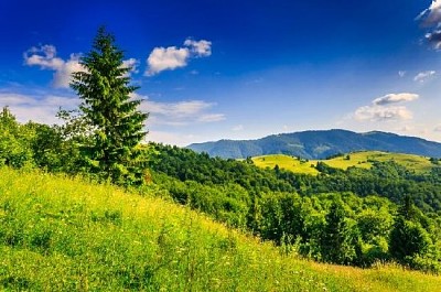 Countryside Scenery jigsaw puzzle