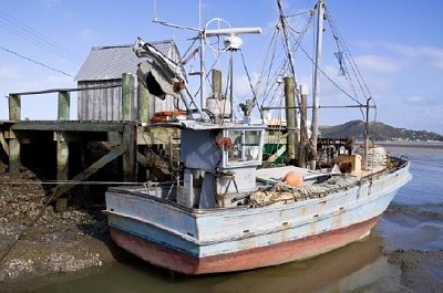 Barco de pesca en el muelle