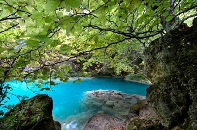 Lago en el bosque