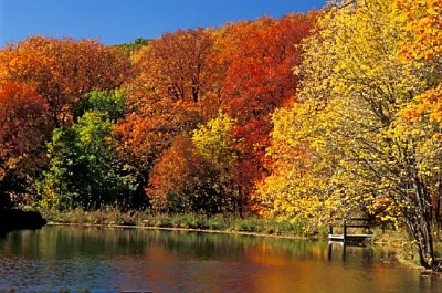 L'automne sur l'étang
