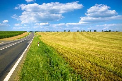 Camino rural por un campo