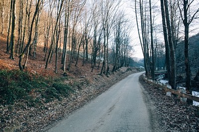 Scenic Road jigsaw puzzle