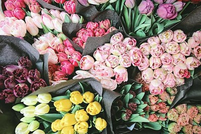 Tulpaner på blomstermarknaden