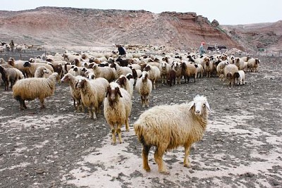 Gilan Gharb, Iran