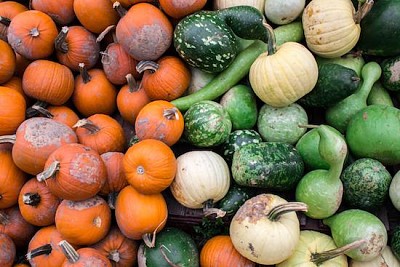 Fruits du marché