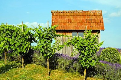 Peaceful Cabin jigsaw puzzle