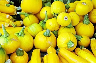 Yello Zucchini jigsaw puzzle