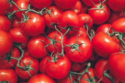 Pomidory z bliska