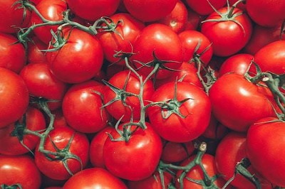 Tomatoes Close Up