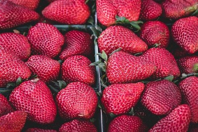 Fresas