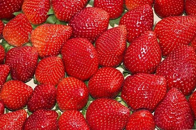Saftige Erdbeere