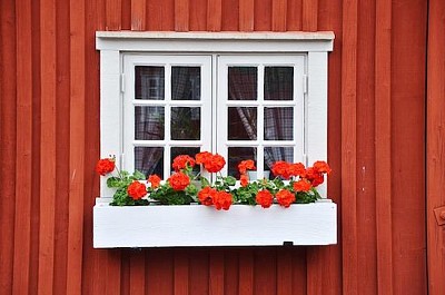 Ventana y casa de madera