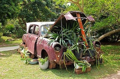 Coche de época con plantas