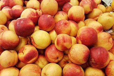 Färska läckra persikor