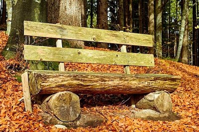 Wooden Bench jigsaw puzzle