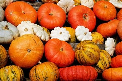 Décoration de citrouilles