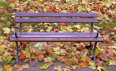 Silla en el parque