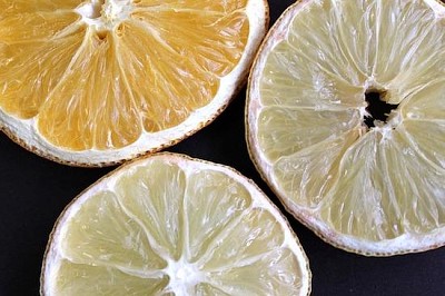 Citrus and Lemon Slices