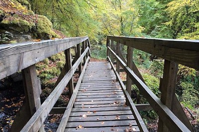 Holzbrücke