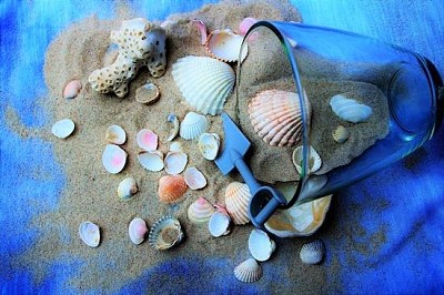 海洋貝殼