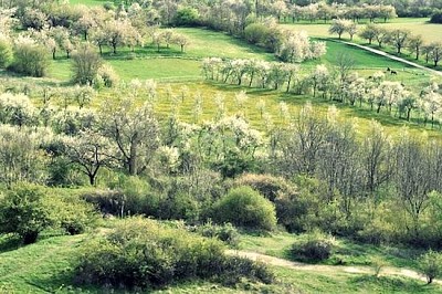 Frühling