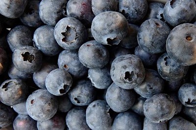 Blueberries jigsaw puzzle