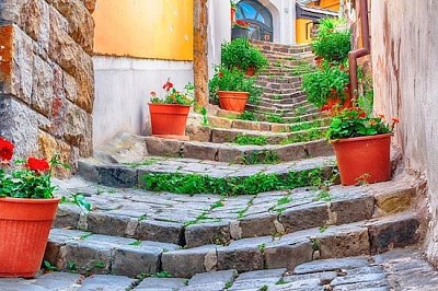 Fleurs d'escalier de ville