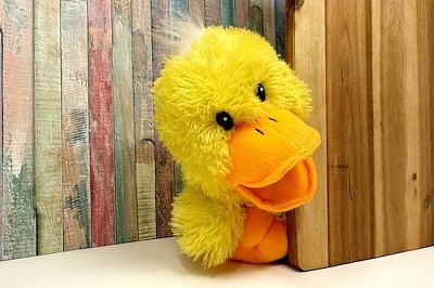 Duck Toy jigsaw puzzle