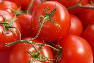 Ripe Tomatoes