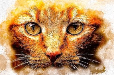 Retrato de gatos em aquarela