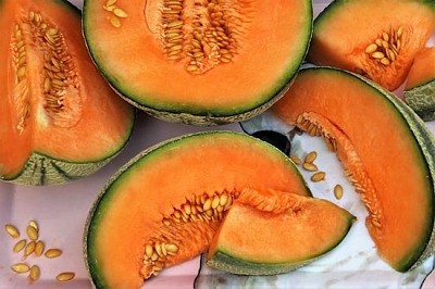 Smakfull melon