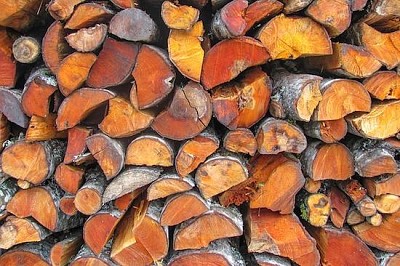 Wood Logs