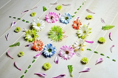 Blommor Kronblad