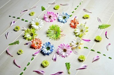 Flowers Petal