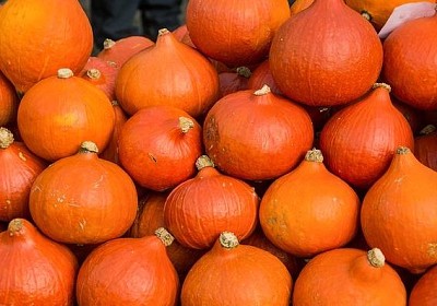 Orange Gourd jigsaw puzzle