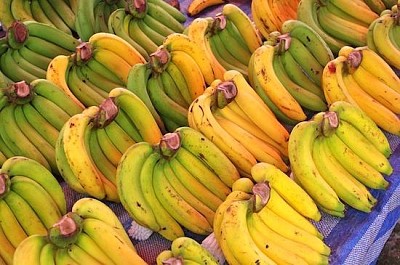 Bananas