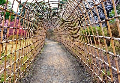 Bamboo Arch jigsaw puzzle