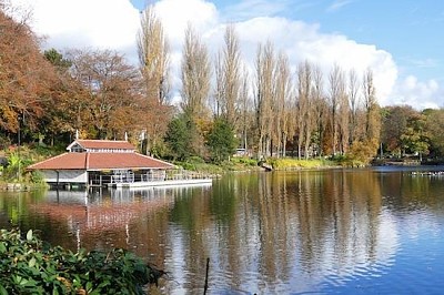 ウォールソール樹木園