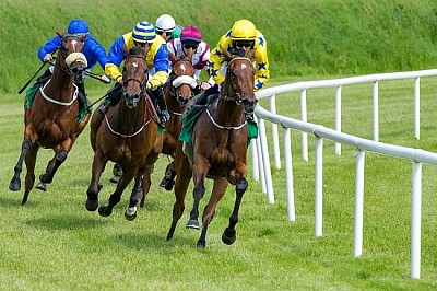 Caballos de carrera al galope en competición de carreras