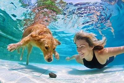 Frau spielt mit Retriever Welpen im Pool